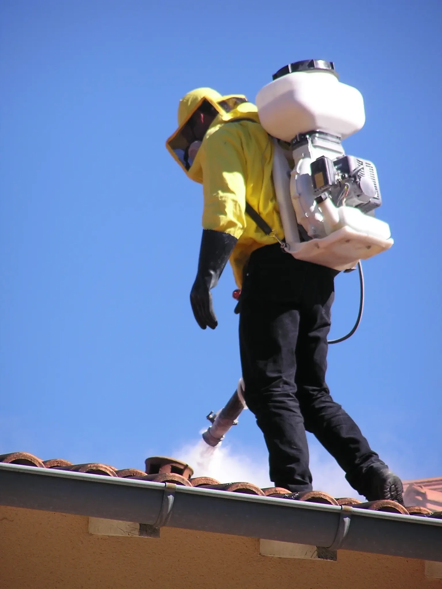 désinsectisation guêpes à Toulouse, traitement de nid de guêpes sur un toit 