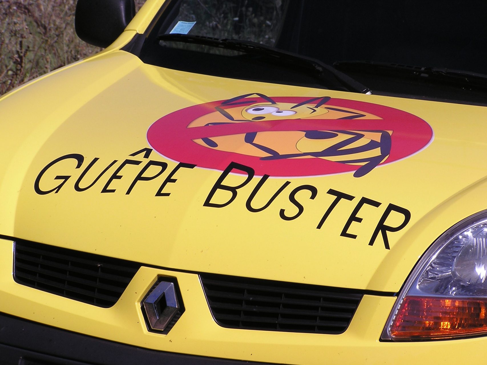véhicule d'intervention de Guêpe Buster, exterminateur de nuisible à Castelginest