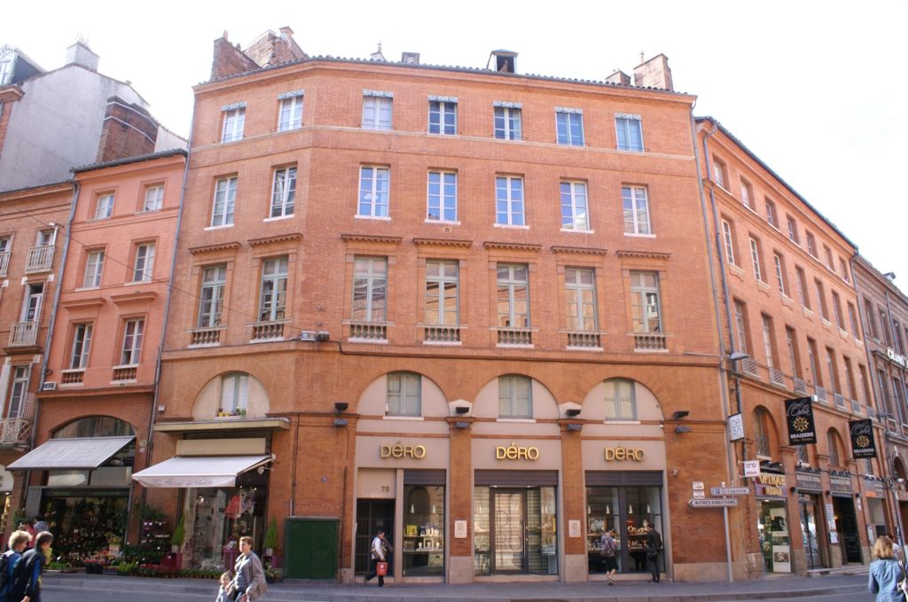 toits au centre ville de Toulouse, propices aux pigeons